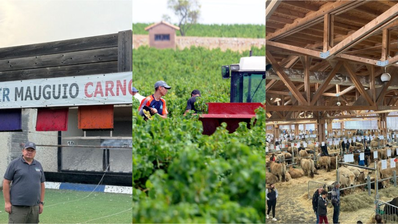 A sealed shooting range, a shortage of grape pickers, an agricultural competition: the main news in the region