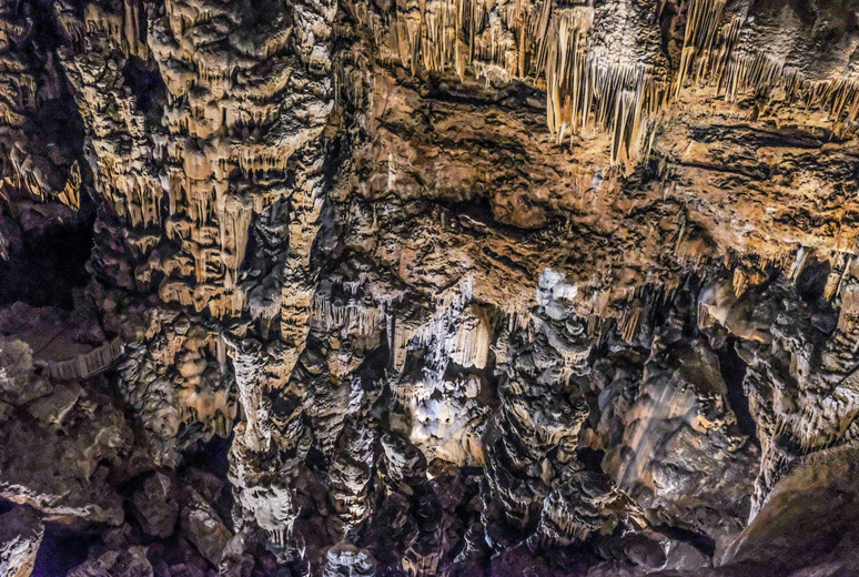 Grotte des Demoiselles: from the funicular to the cathedral hall, a magical visit in the heart of the Hérault region