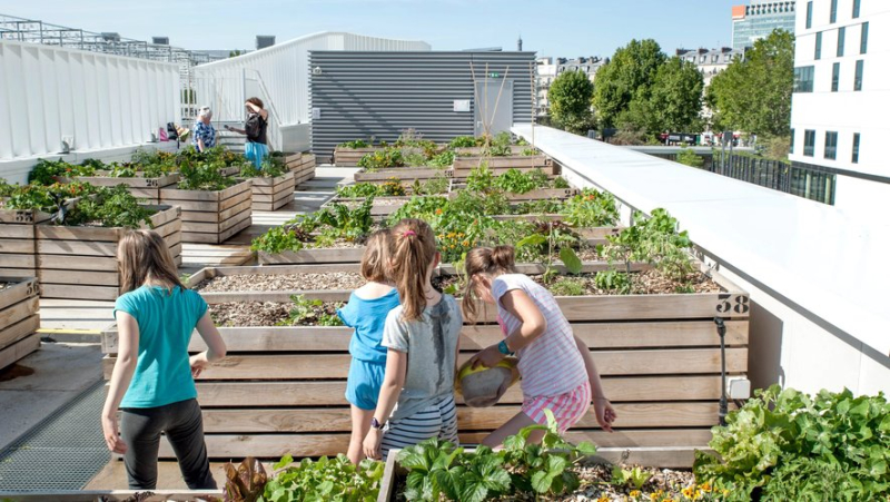 Qu’est-ce que le "service civique écologique", ce nouveau dispositif crée pour sensibiliser la jeunesse aux enjeux environnementaux ?