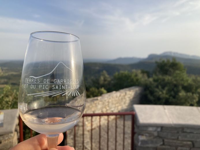 La balade oenotouristique en Pic Saint-Loup : pour déguster le paysage autant que le vin !