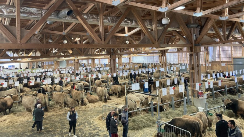 The Qualiviande agricultural competition returns to Aumont-Aubrac for an eighth edition this weekend