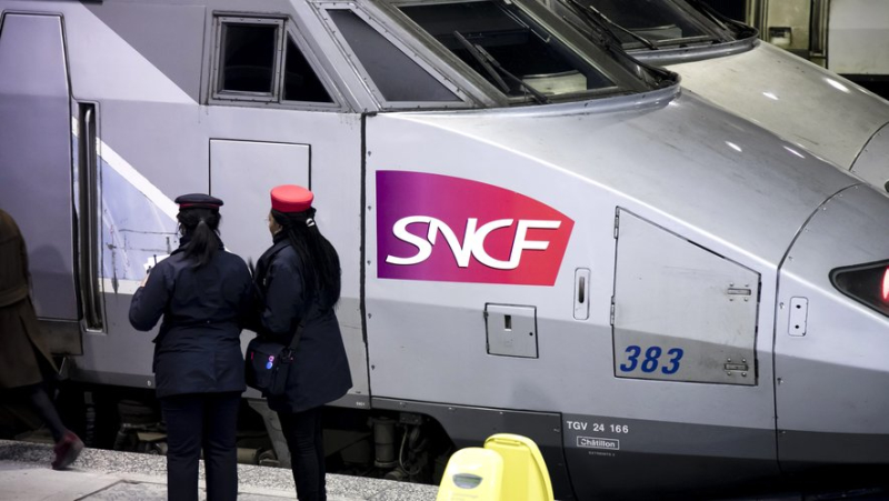 "0 euro tickets but a 140 euro fine": Pass Rail in hand, a teenager receives a hefty fine from the SNCF