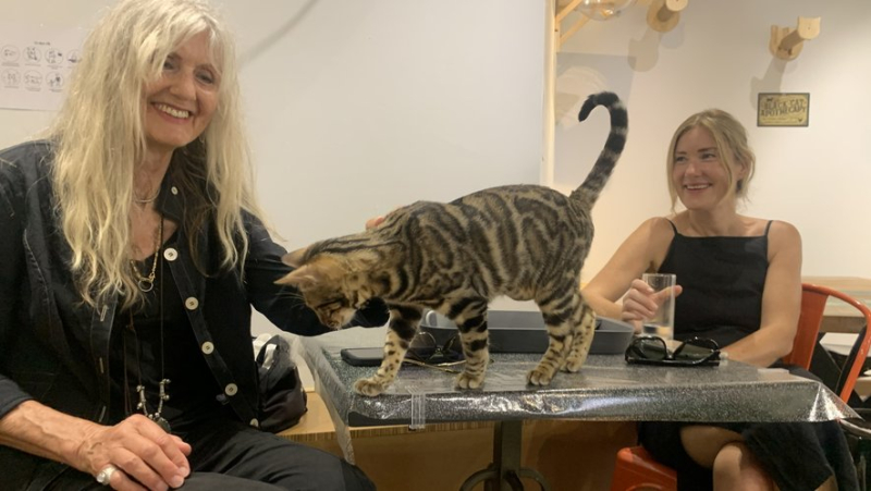 At Miaou Coffee, in the center of Béziers, we play paw on table