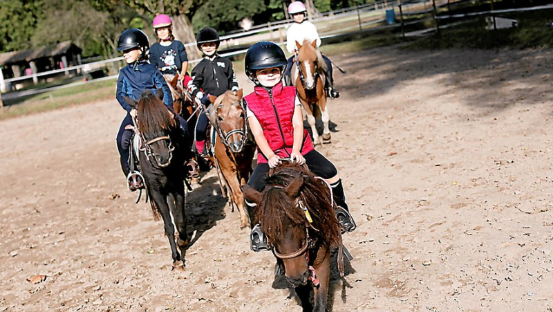 Step by step, the art of becoming a rider at the Galeizon equestrian center