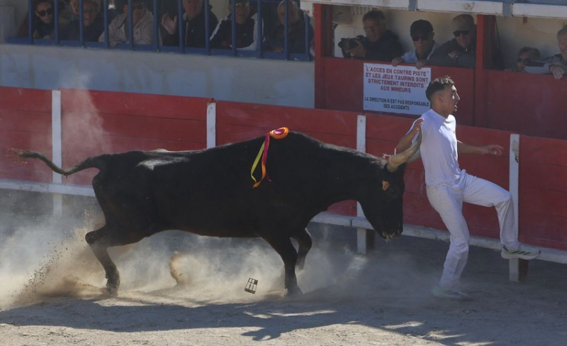 Le Grau-du-Roi : Corail (Rouquette) et Caillet (Cavallini) prennent le large.