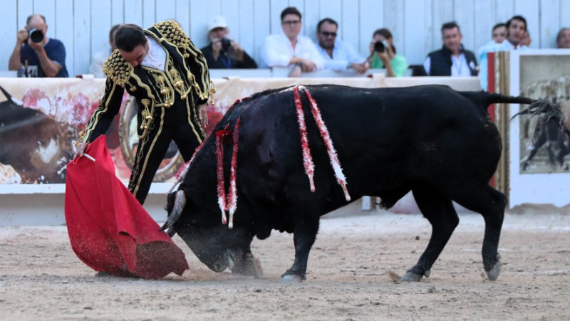 Arles Fair: Legendary Enrique Ponce&#39;s Successful Farewell in Triumph with Castella