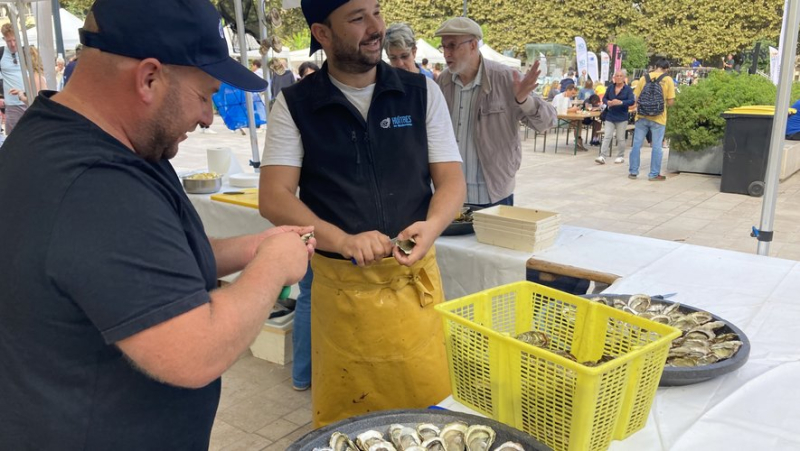 In Sète, an oyster festival in all its forms