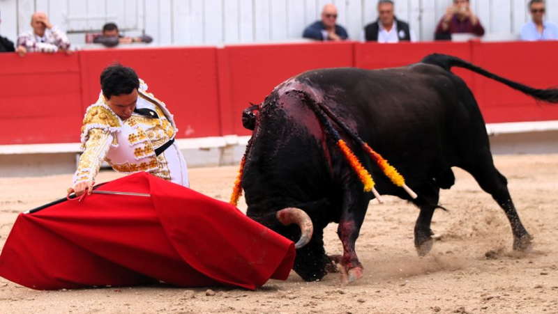 Feria d’Arles : une encastée et exigeante corrida de Valverde clôture en beauté la temporada