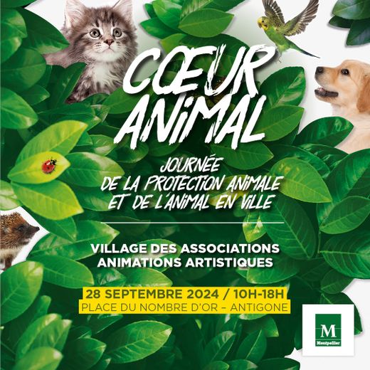 Going out in Montpellier: Rural Festival, Animal Heart, Heidelberg… ideas for this Saturday, September 28