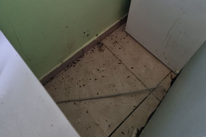 Water leak, flying loads, cockroaches, rats, the nightmare of the residents of the Métairies residence in Sète