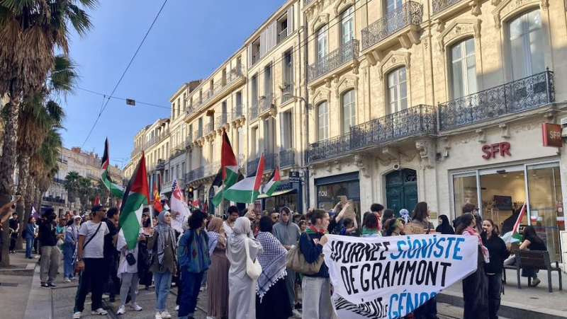 Après plusieurs interdictions de manifester, la Libre pensée, BDS et d’autres organisations ont défilé à Montpellier en soutien à la Palestine