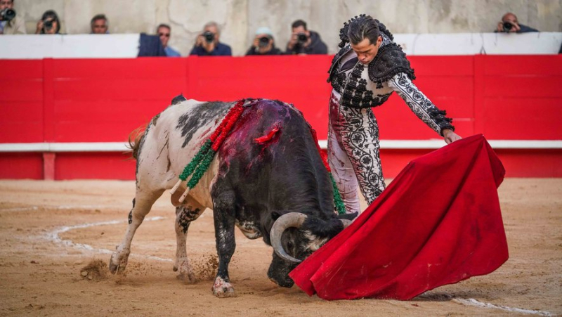 Nîmes Grape Harvest Fair: King Ponce abdicates, Daniel Luque takes the throne