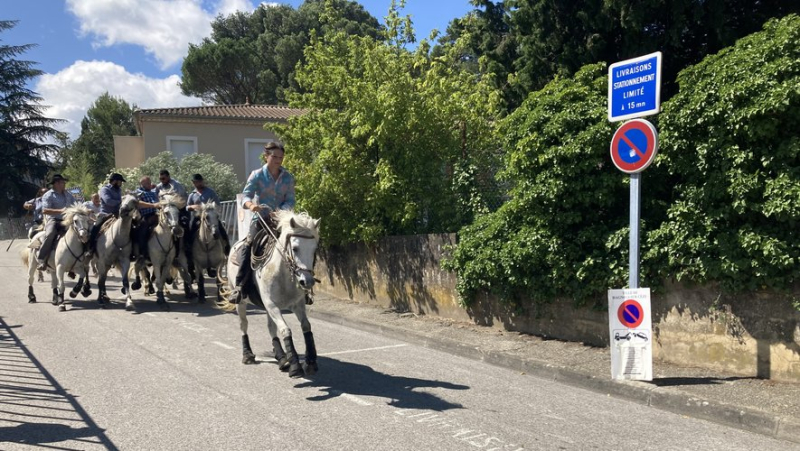 Bullfighting events on Sunday, September 8 in Bagnols-sur-Cèze canceled due to rain