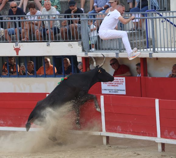 Le Grau-du-Roi: Gold at Galante, Silver at Macarena - Sola, Taïeb, Ranc, the white trio