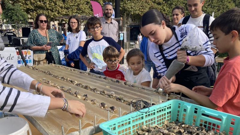 A Sète, une fête de l'huître sous toutes ses formes