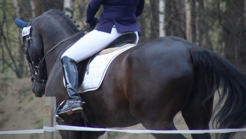 Dramatic fall from horse: World-class rider dies in riding accident