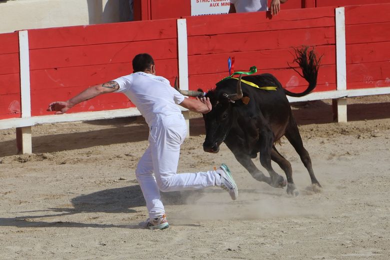 Le Grau-du-Roi: Gold at Galante, Silver at Macarena - Sola, Taïeb, Ranc, the white trio