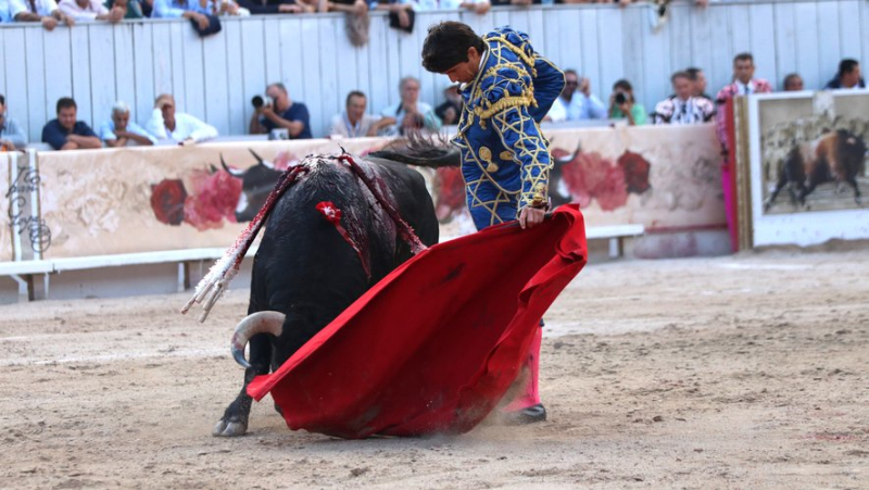 Arles Fair: Legendary Enrique Ponce&#39;s Successful Farewell in Triumph with Castella