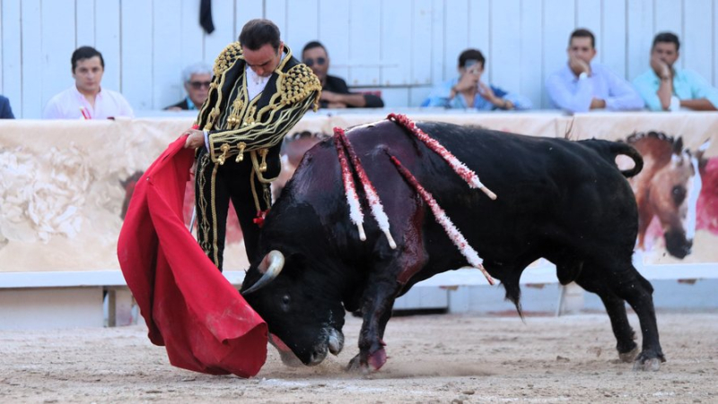 Arles Fair: Legendary Enrique Ponce&#39;s Successful Farewell in Triumph with Castella