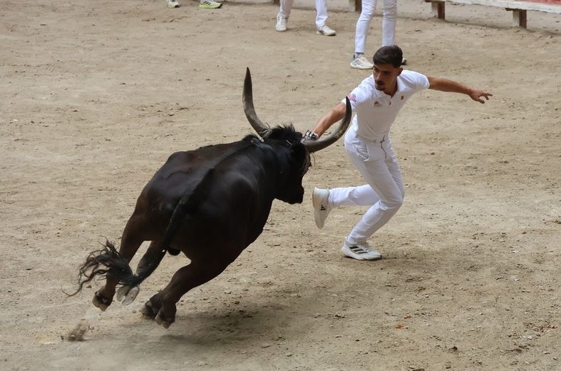 Sommières :Le 4e Trophée Manu-Lucas en toute logique pour Lichou et F. Martin