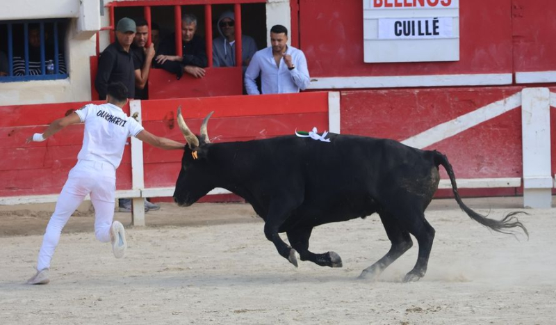 Le Grau-du-Roi: Between bravery and spectacle, the Cuillé keep the suspense going