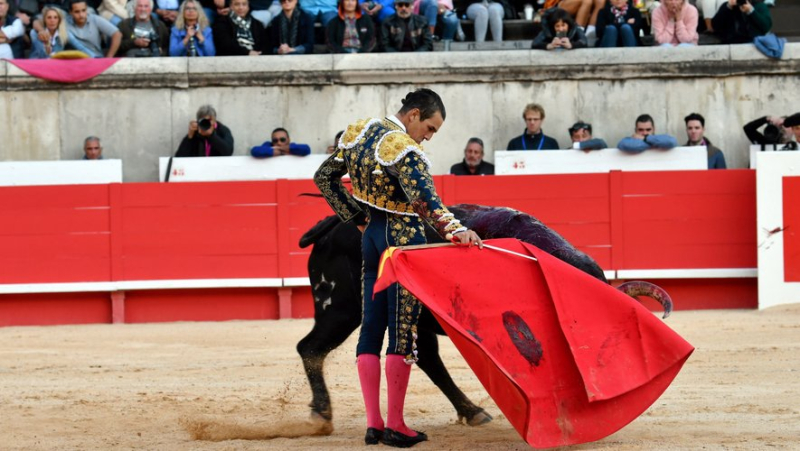 Feria des vendanges à Nîmes : deux oreilles pour la consécration de Lalo de Maria