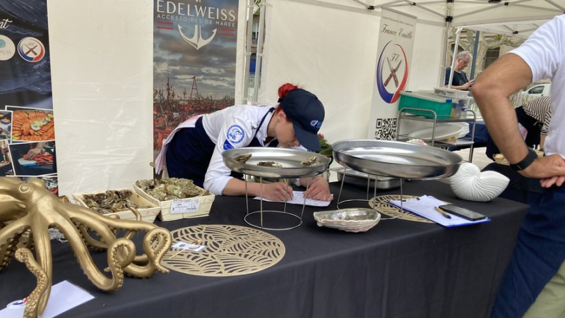 Fierce competition in Sète between the eight candidates for the regional oyster shelling championship