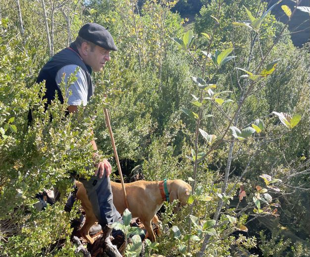 In the footsteps of a team specializing in hare hunting with sticks on the Sauveterre causse