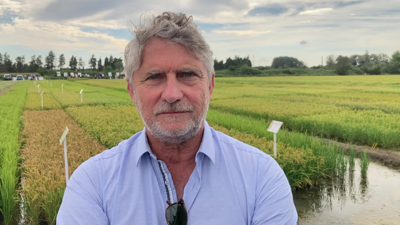 The first robot for large-scale crops, presented to rice farmers in Camargue