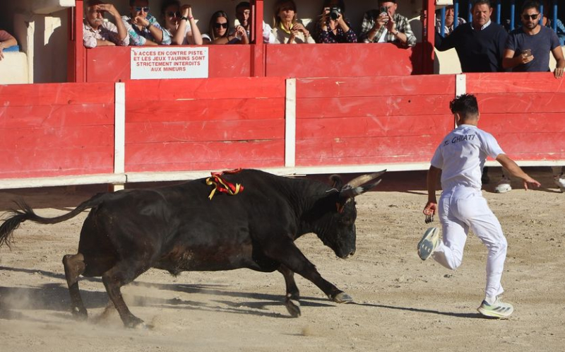 Le Grau du Roi: The Sea Trophy for Bohémien (Rouquette) and Joachim Cadenas