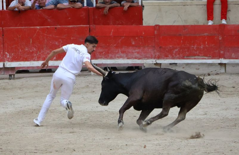 Sommières: The 4th Manu-Lucas Trophy logically goes to Lichou and F. Martin