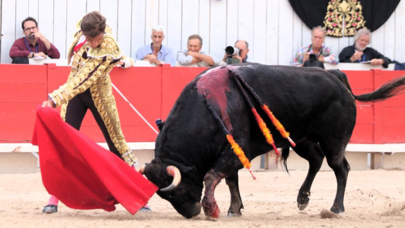 Feria d’Arles : une encastée et exigeante corrida de Valverde clôture en beauté la temporada