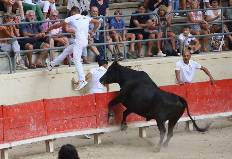 Sommières: The 4th Manu-Lucas Trophy logically goes to Lichou and F. Martin