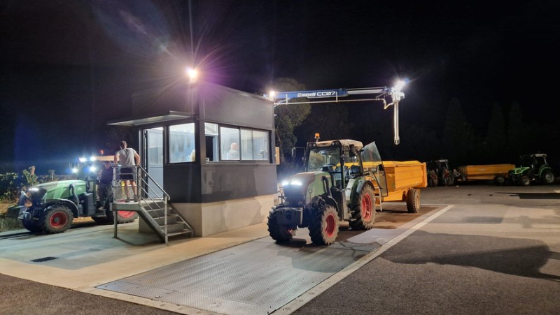 Harvests in Béziers: quality there, quantity a little less