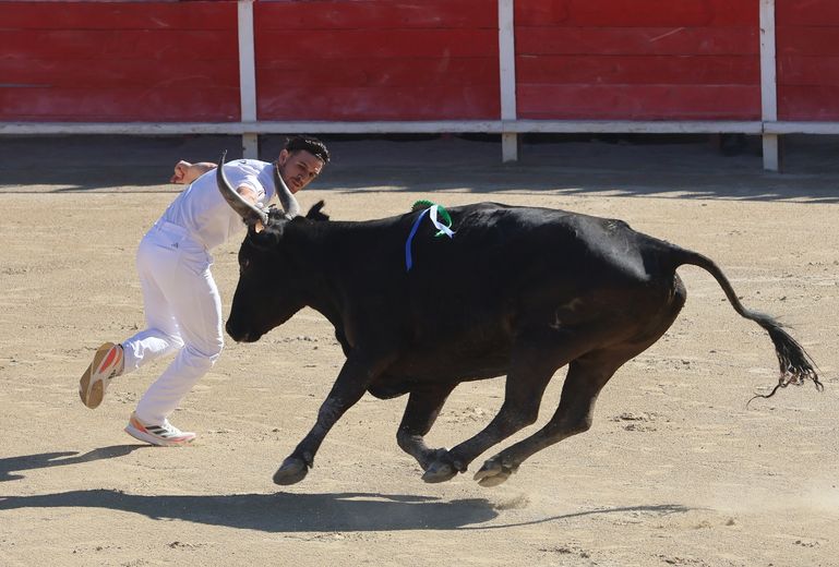 Le Grau-du-Roi : Corail (Rouquette) et Caillet (Cavallini) prennent le large.