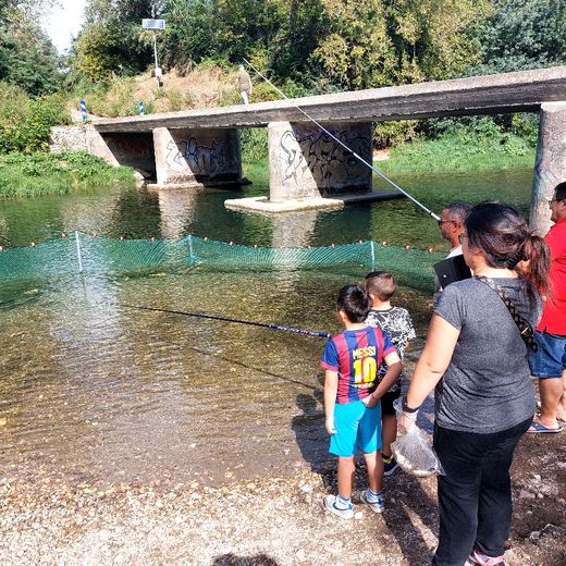 The children teased the trout in the Cèze at the Carmignan footbridge