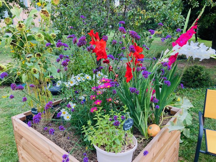 In the therapeutic garden of Adoration, the elders have kept the memory of the gestures of the vegetable garden