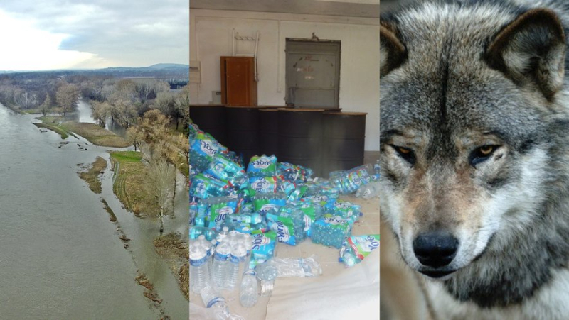 Rhône Plan revised downwards, abandoned water bottles, evolving wolf plan: the main news in the region