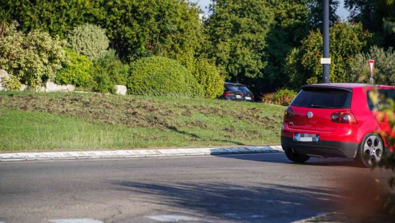 Picture of the day: wild boars have ploughed up the Paloma roundabout in Nîmes