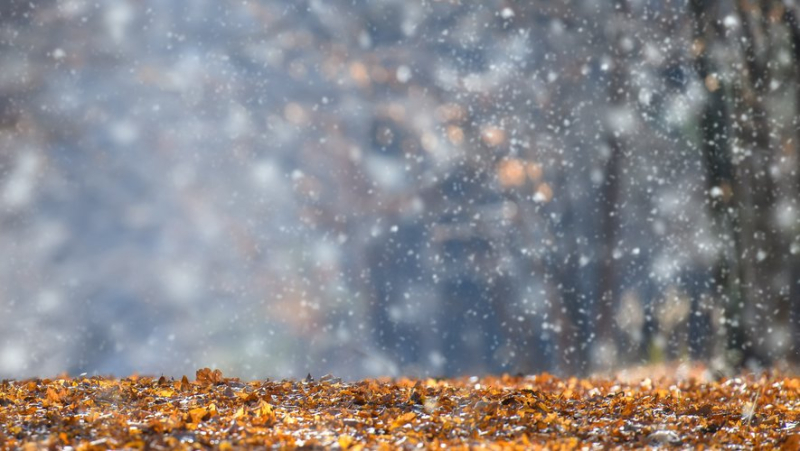 VIDEO. It&#39;s snowing on Mont-Lozère: mid-September, the first flakes fall on the summit of Finiels