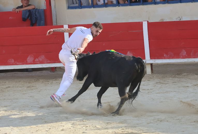 Le Grau-du-Roi: Gold at Galante, Silver at Macarena - Sola, Taïeb, Ranc, the white trio