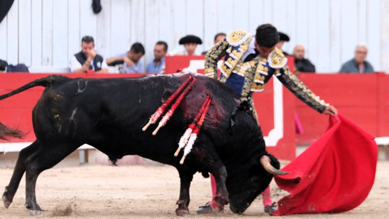 Feria d’Arles : une encastée et exigeante corrida de Valverde clôture en beauté la temporada