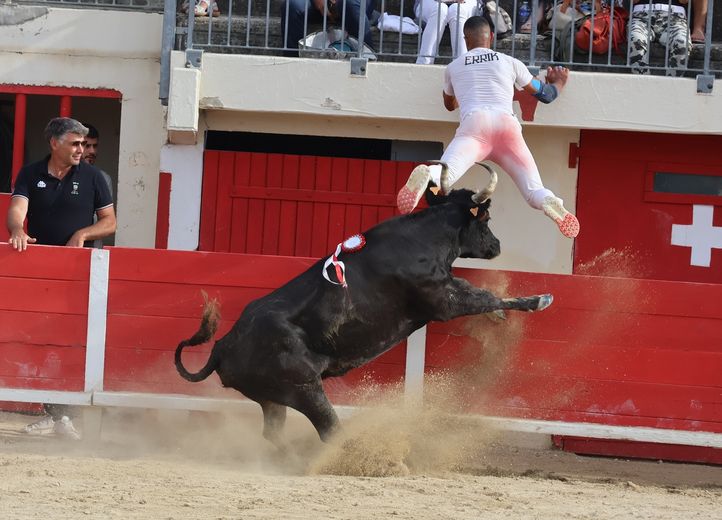 Le Grau-du-Roi: Gold at Galante, Silver at Macarena - Sola, Taïeb, Ranc, the white trio