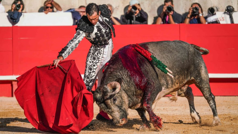 Nîmes Grape Harvest Fair: King Ponce abdicates, Daniel Luque takes the throne