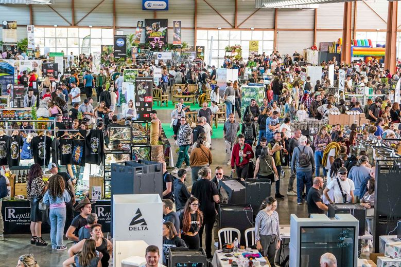 Serpents, araignées et tortues font leur retour au Parc des expositions de Nîmes à l'occasion de la 26e édition des Reptiliades