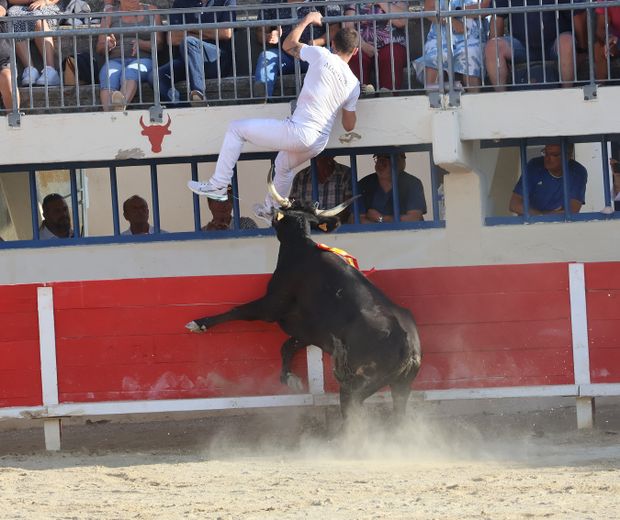 Le Grau-du-Roi: Gold at Galante, Silver at Macarena - Sola, Taïeb, Ranc, the white trio