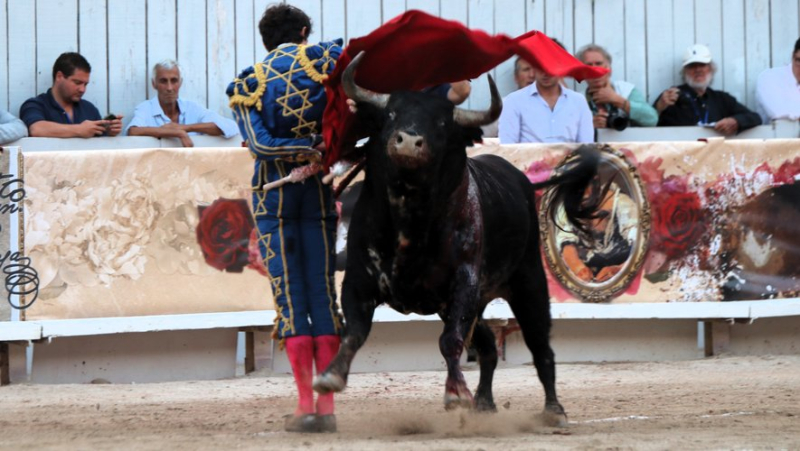 Arles Fair: Legendary Enrique Ponce&#39;s Successful Farewell in Triumph with Castella