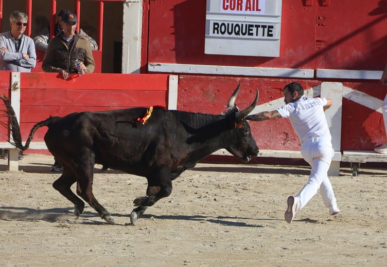 Le Grau-du-Roi : Corail (Rouquette) et Caillet (Cavallini) prennent le large.