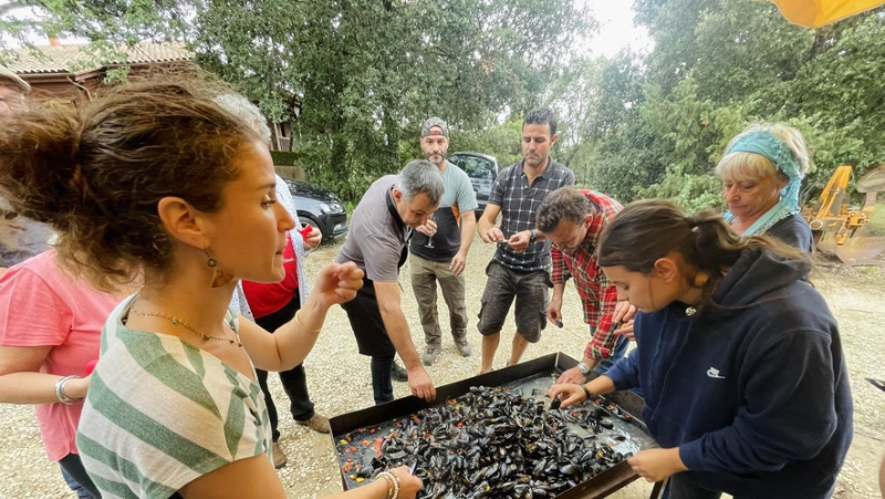 In Saint-Nazaire-des-Gardies, the Persévérance vintage as a standard of sharing