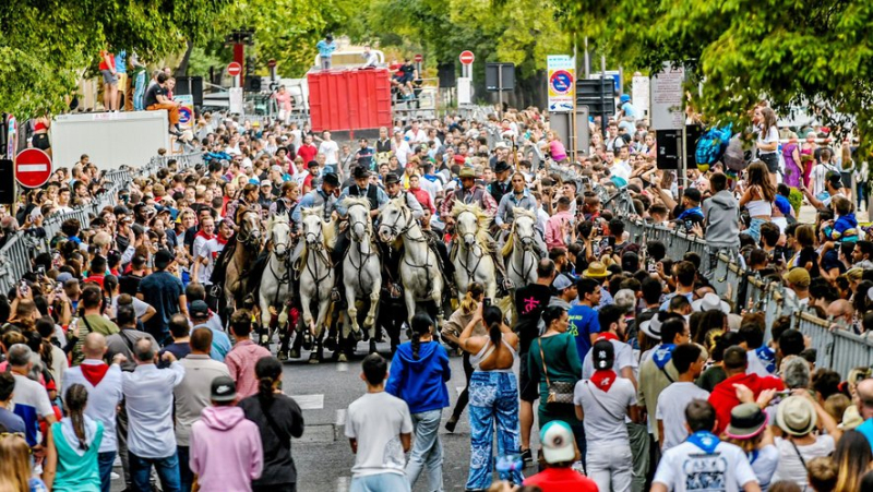 Nîmes Harvest Fair: Highlights and Festivities Announced for the 2024 Vintage